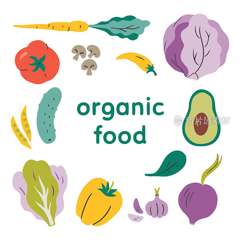 Illustration of fresh organic vegetables — hand-drawn vector elements